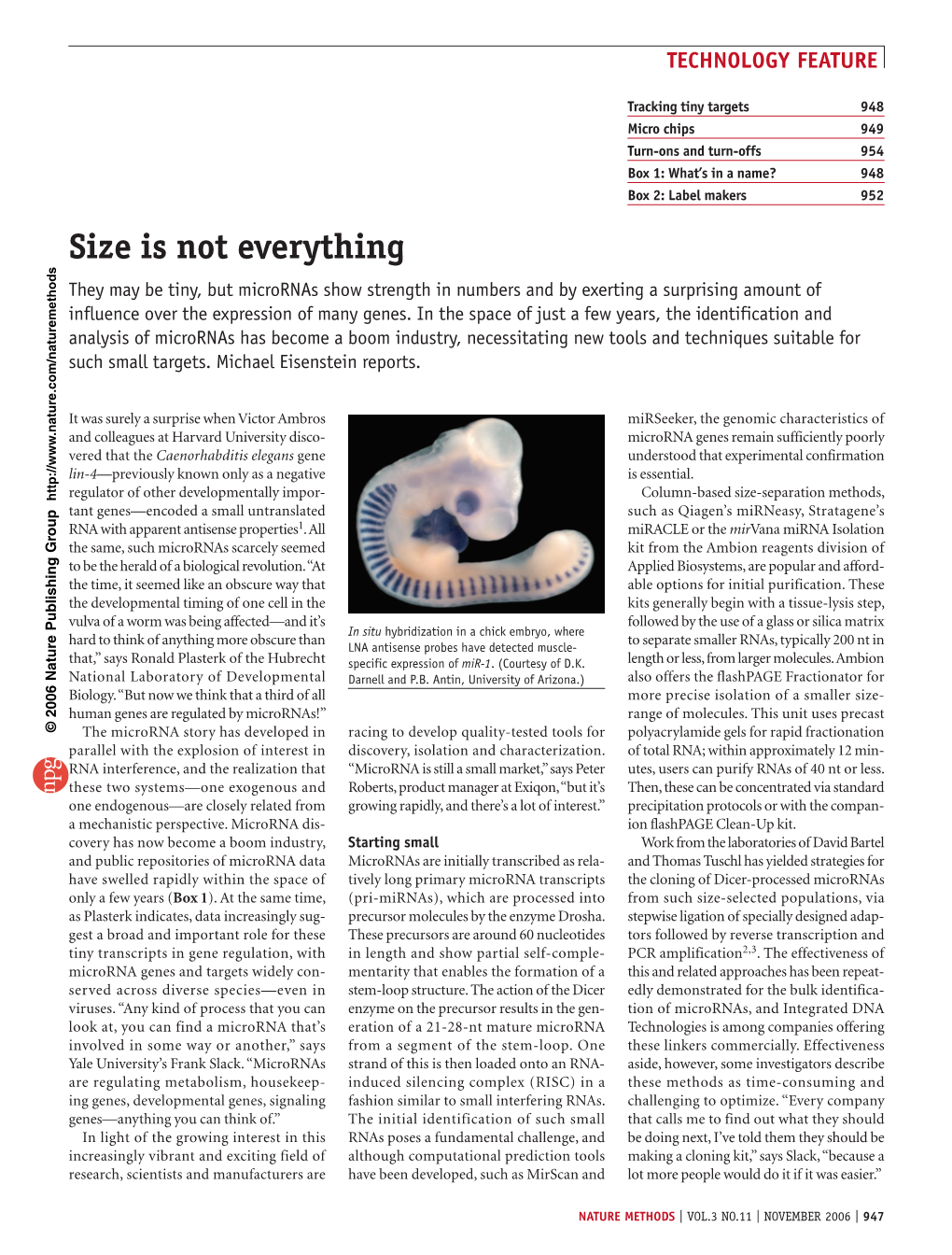 Size Is Not Everything They May Be Tiny, but Micrornas Show Strength in Numbers and by Exerting a Surprising Amount Of