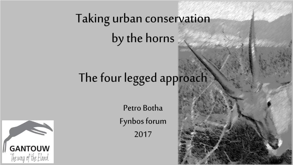 Taking Urban Conservation by the Horns the Four