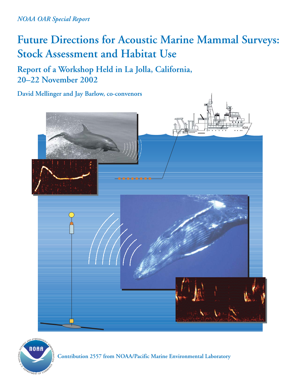 Future Directions for Acoustic Marine Mammal Surveys