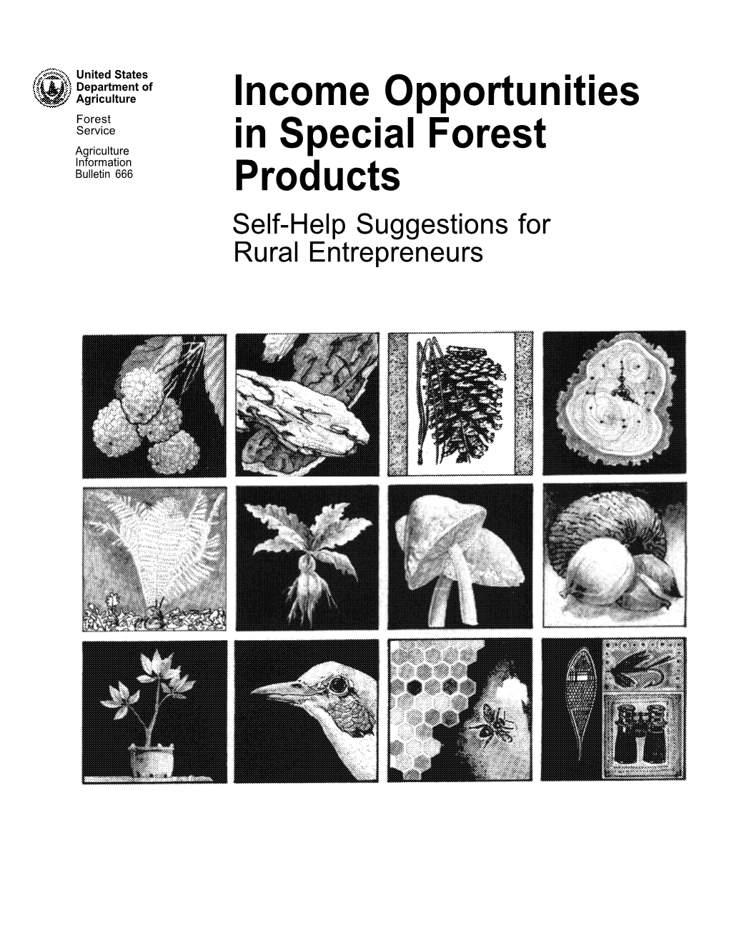 Income Opportunities in Special Forest Products