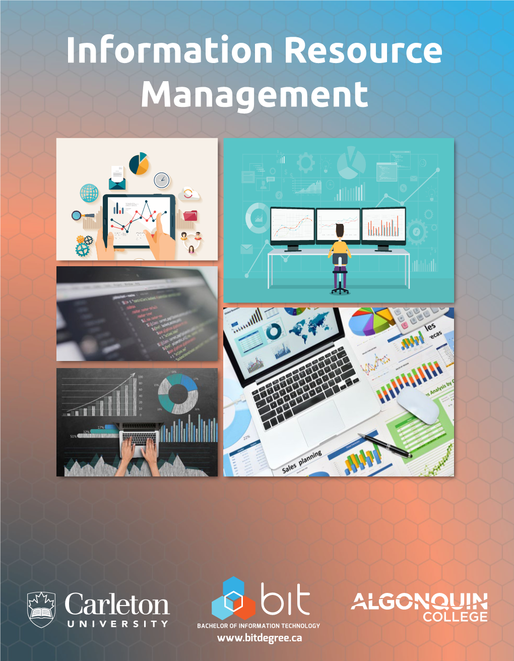 Information Resource Management