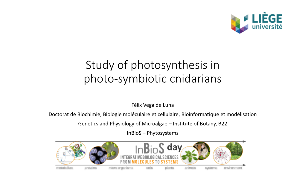 Study of Photosynthesis in Photo-Symbiotic Cnidarians