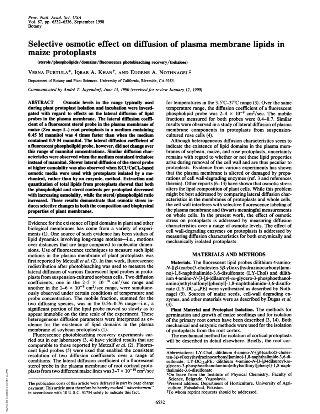 Selective Osmotic Effect on Diffusion of Plasma Membrane Lipids in Maize