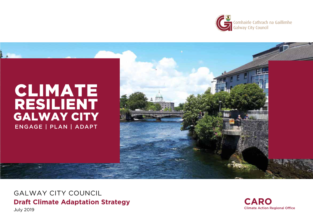 Climate Adaptation Strategy CARO July 2019 Climate Action Regional Office 2 ACKNOWLEDGEMENTS