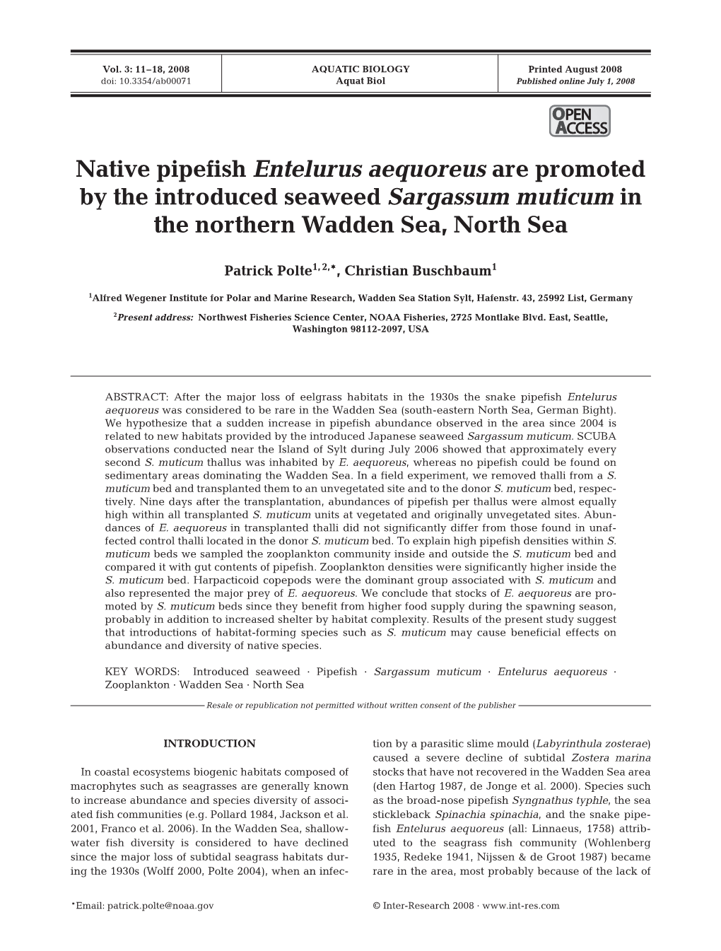 Native Pipefish Entelurus Aequoreus Are Promoted by the Introduced Seaweed Sargassum Muticum in the Northern Wadden Sea, North Sea