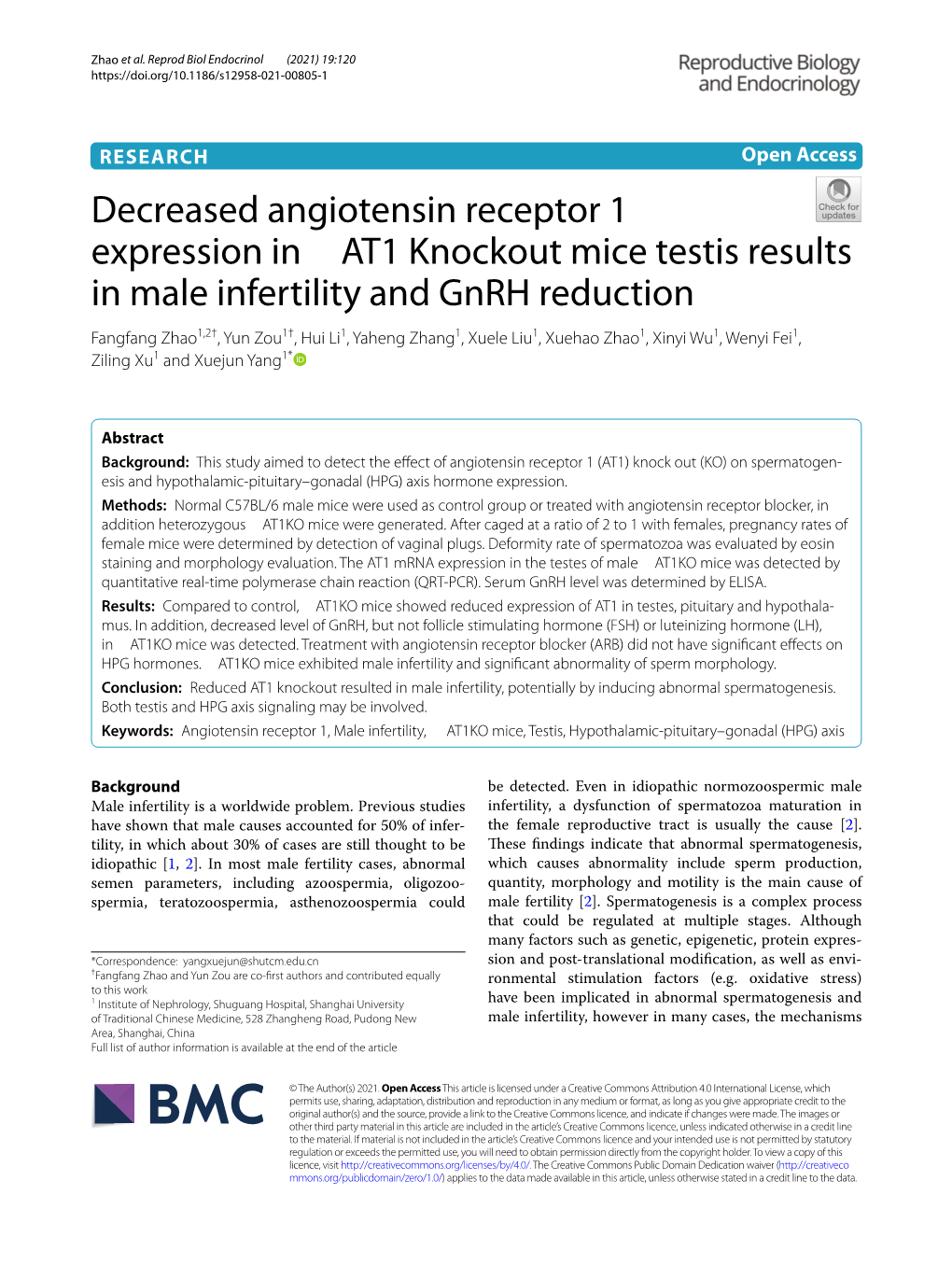 Decreased Angiotensin Receptor 1 Expression in ± AT1 Knockout Mice