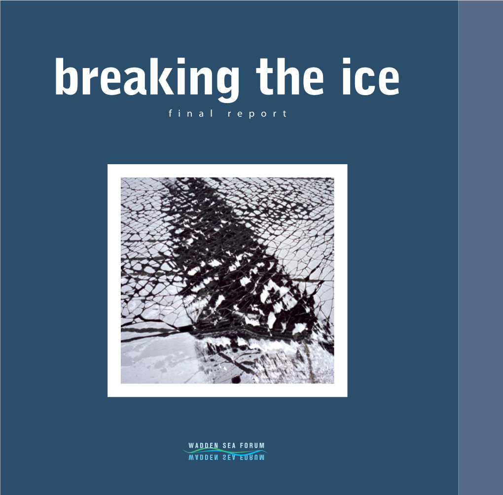 Breaking the Ice Final Report