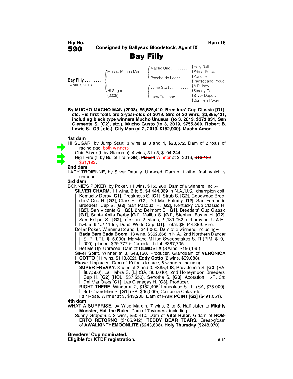 590 Consigned by Ballysax Bloodstock, Agent IX Bay Filly