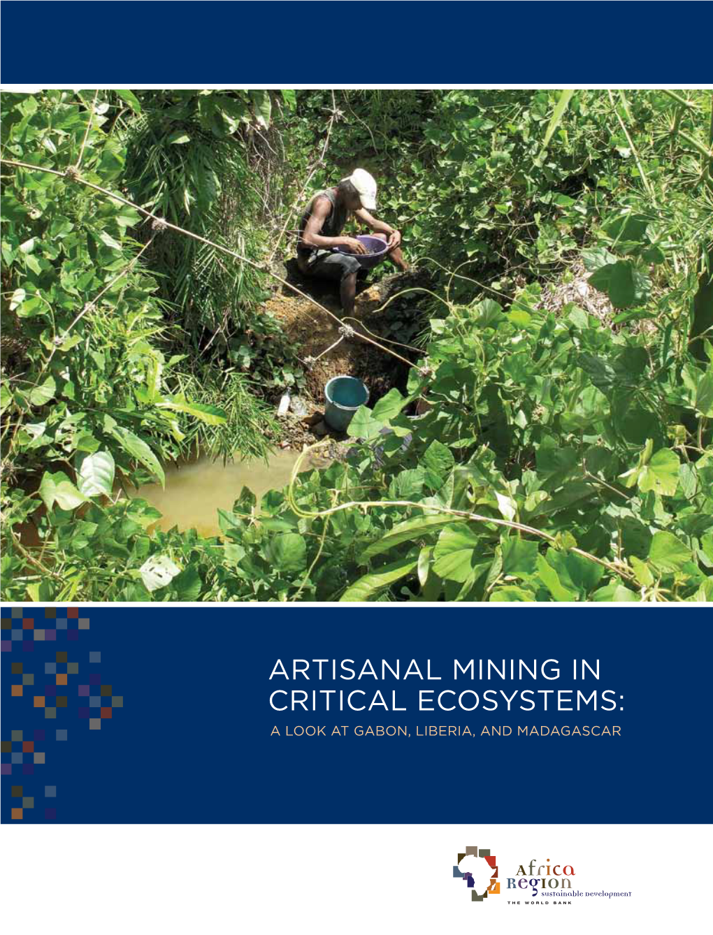 Artisanal Mining in Critical Ecosystems: a Look at Gabon, Liberia, and Madagascar the Minkebe Gold Mining Pit in the Bufferzone of Minkebe National Park, Gabon