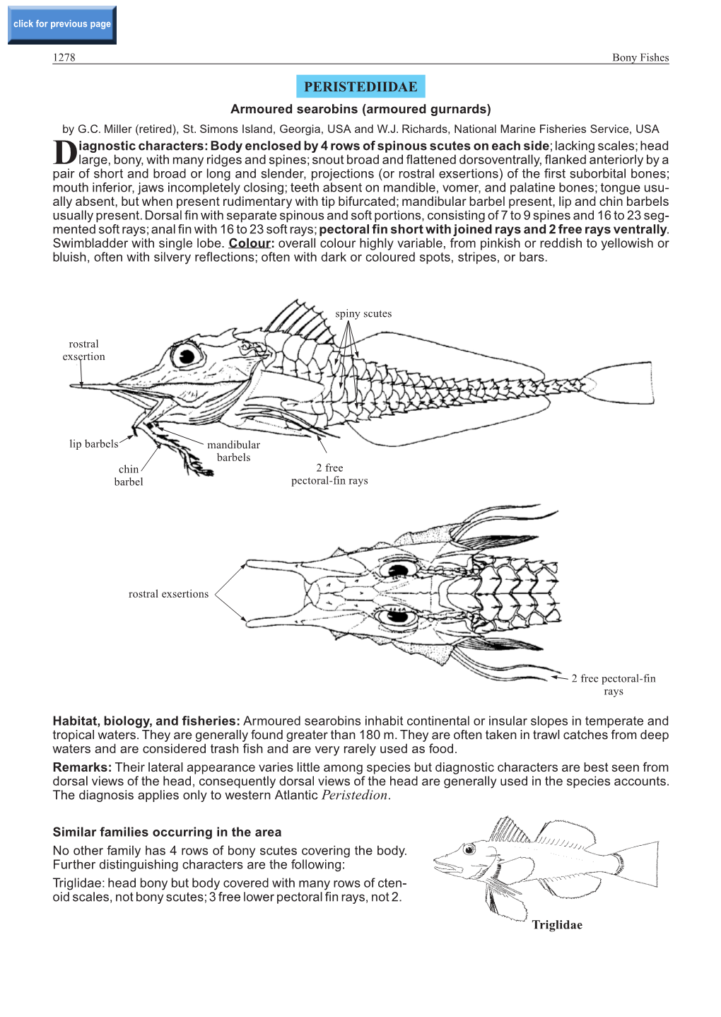 PERISTEDIIDAE Armoured Searobins (Armoured Gurnards) by G.C