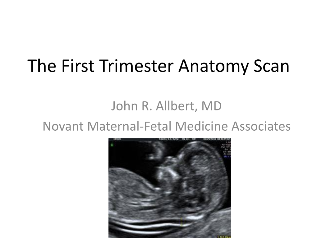 The First Trimester Anatomy Scan