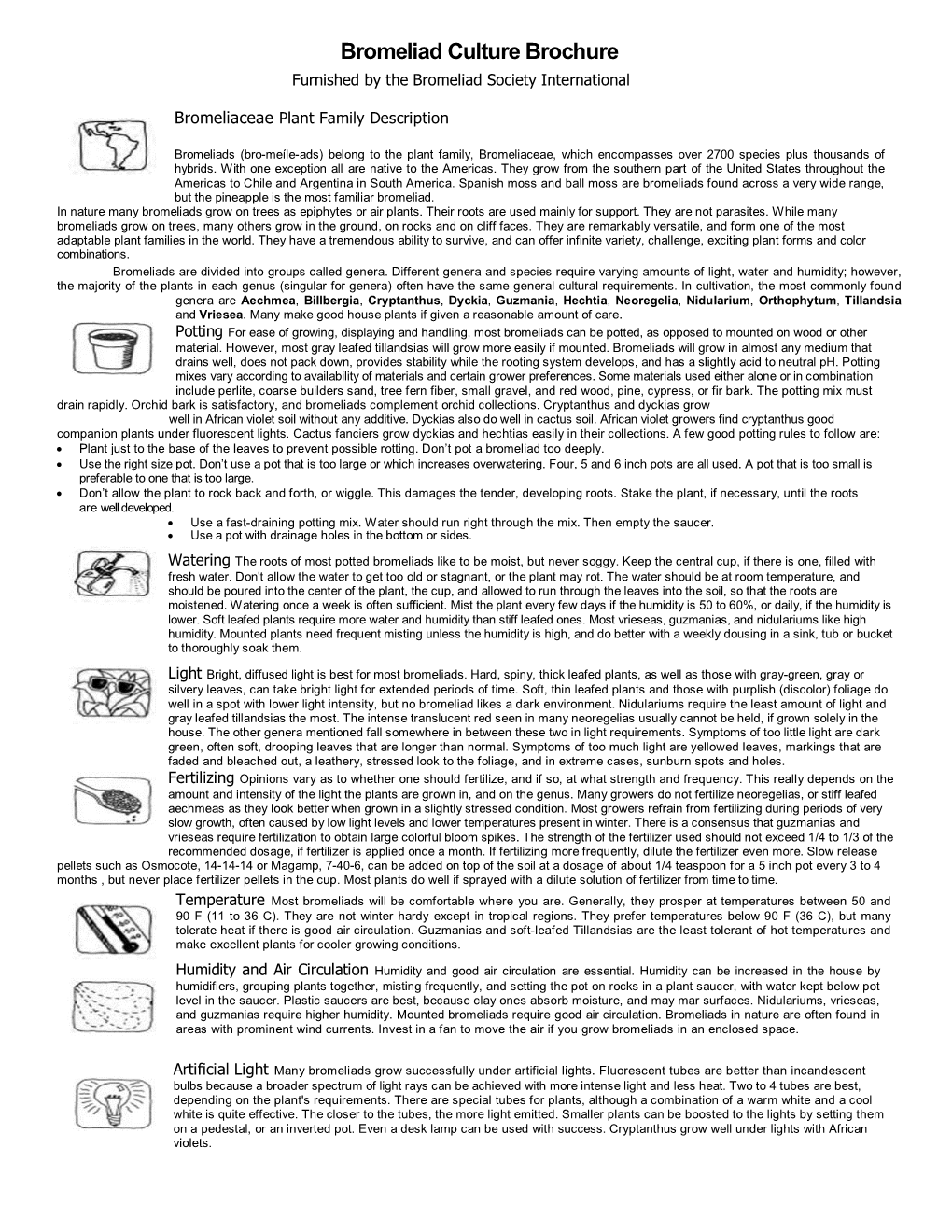 Bromeliad Culture Brochure Furnished by the Bromeliad Society International