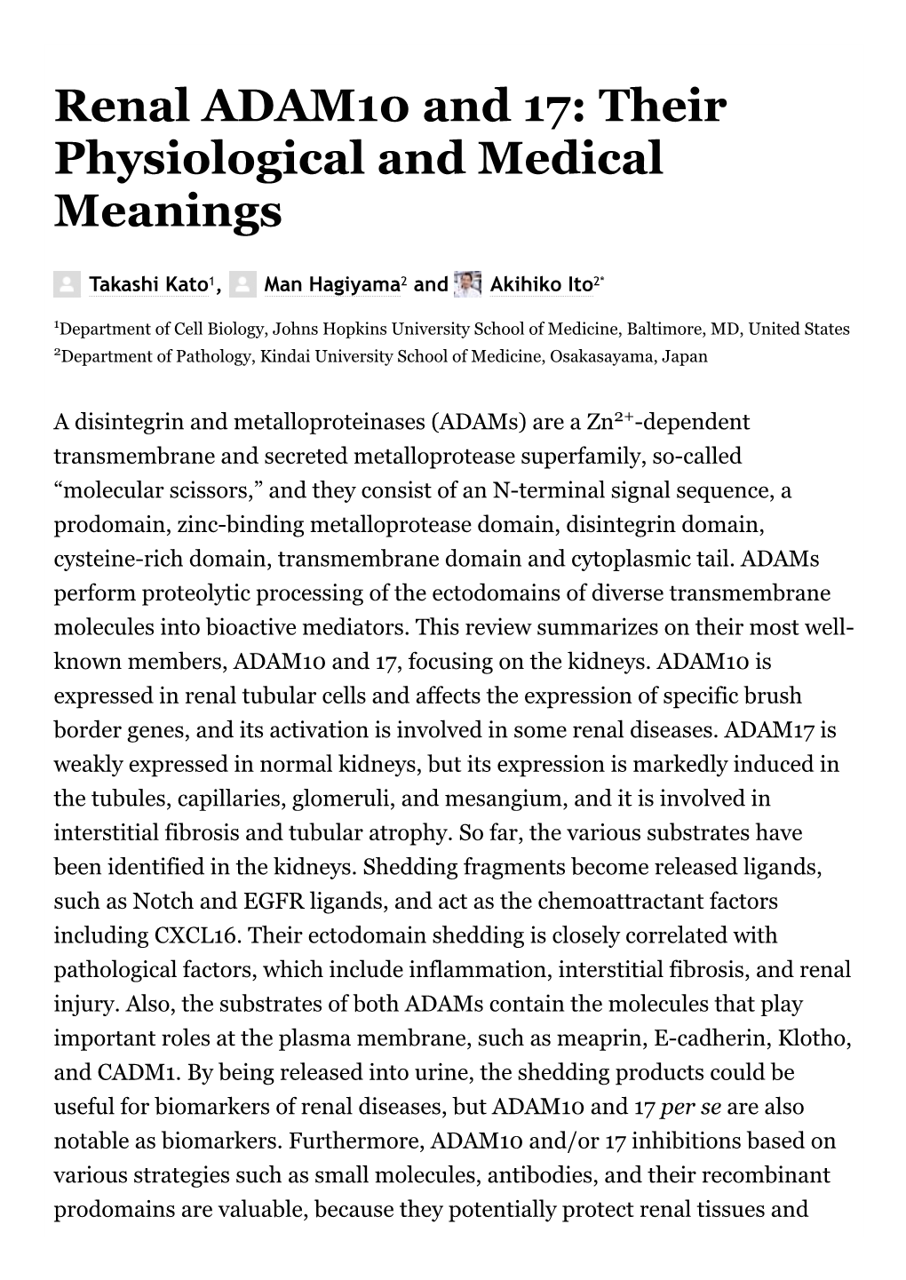 Renal ADAM10 and 17: Their Physiological and Medical Meanings