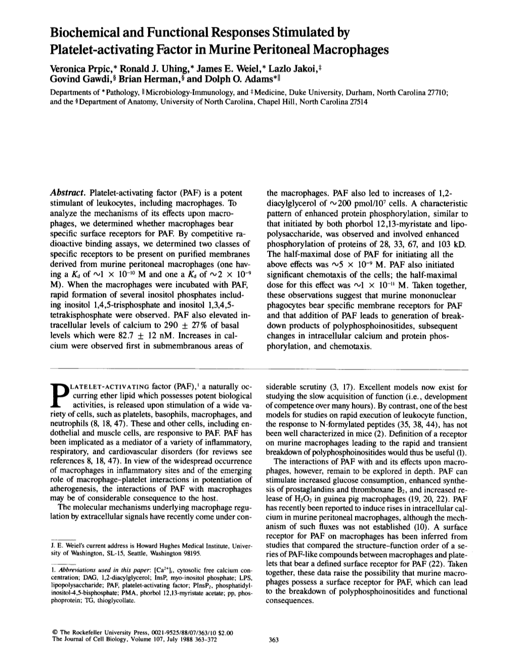 Biochemical and Functional Responses Stimulated by Platelet-Activating Factor in Murine Peritoneal Macrophages