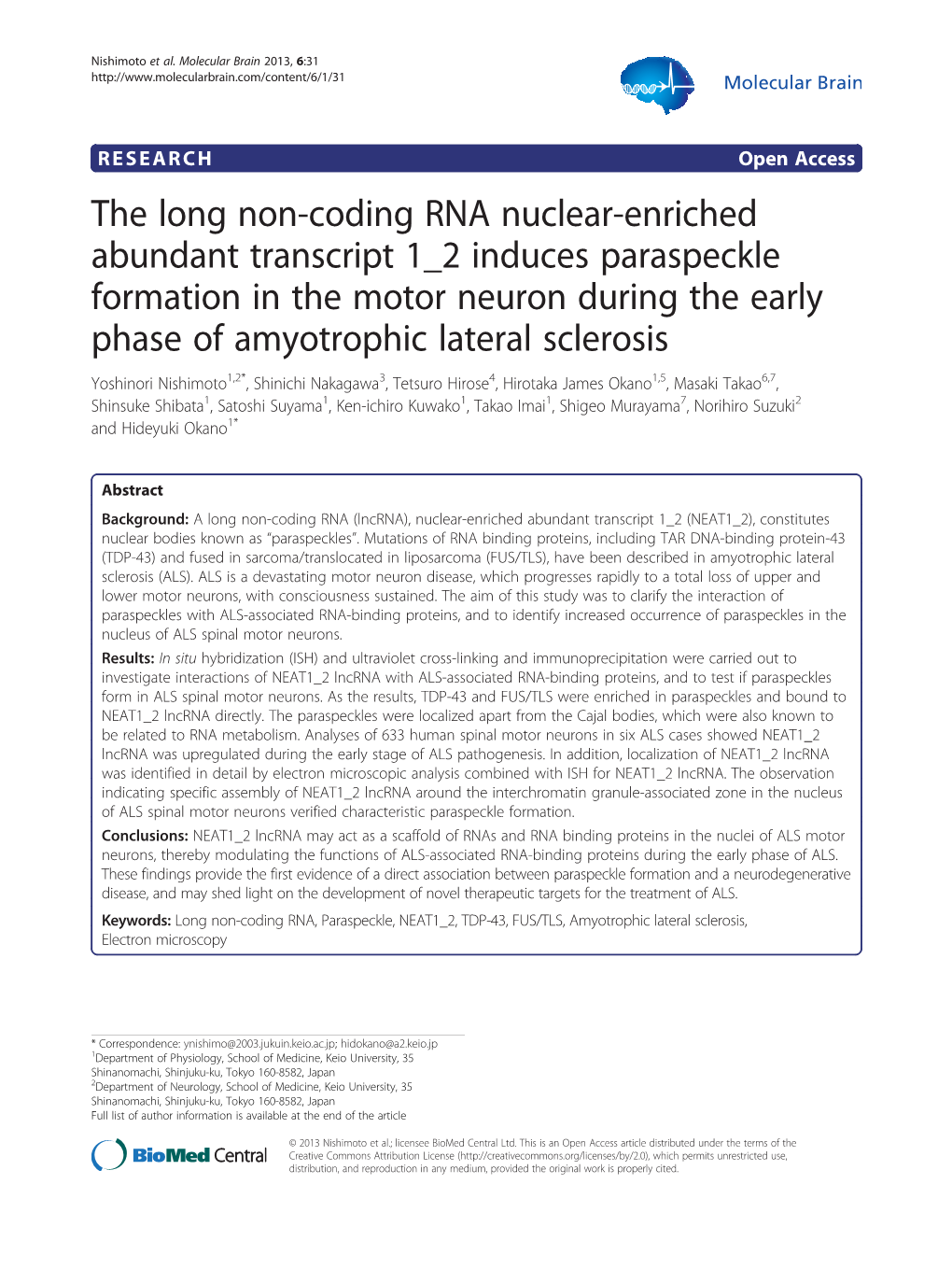 The Long Non-Coding RNA Nuclear-Enriched Abundant