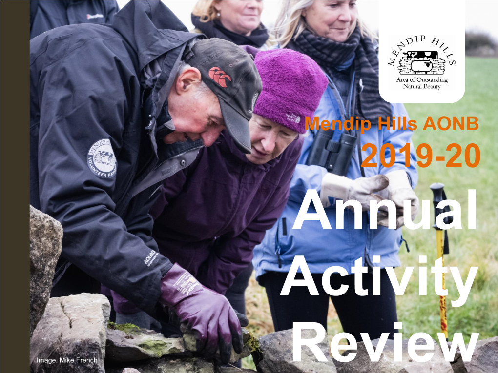 Annual Activity Review 2019-20 Mendip Hills