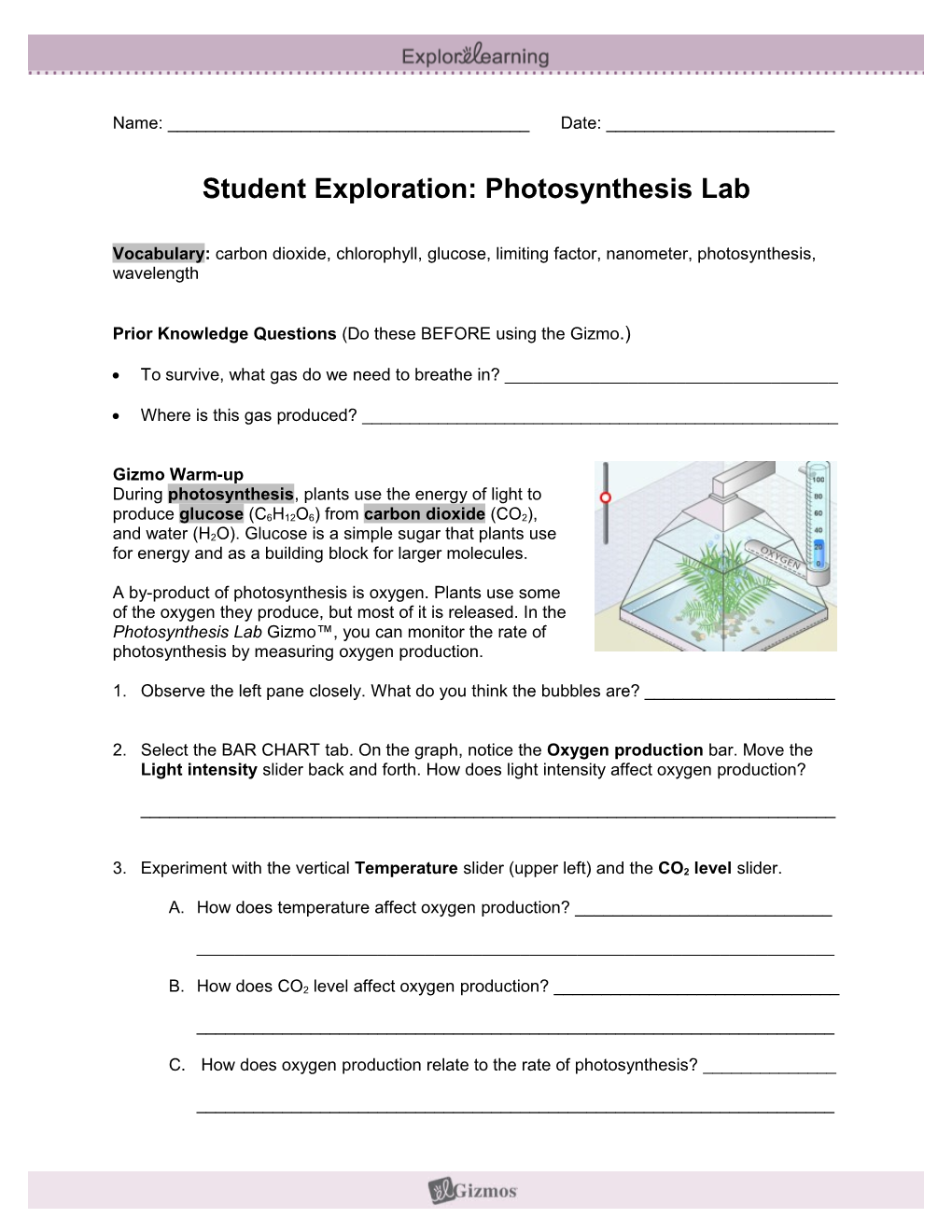 Student Exploration Sheet: Growing Plants s1