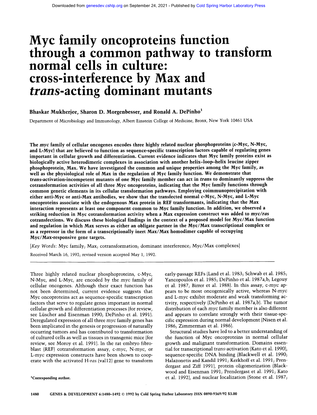 Myc Family Oncoproteins Function Through a Common Pathway to Trans[Orm Normal Cells in Culture: Cross-Interference by Max and Trans-Acting Dominant Mutants