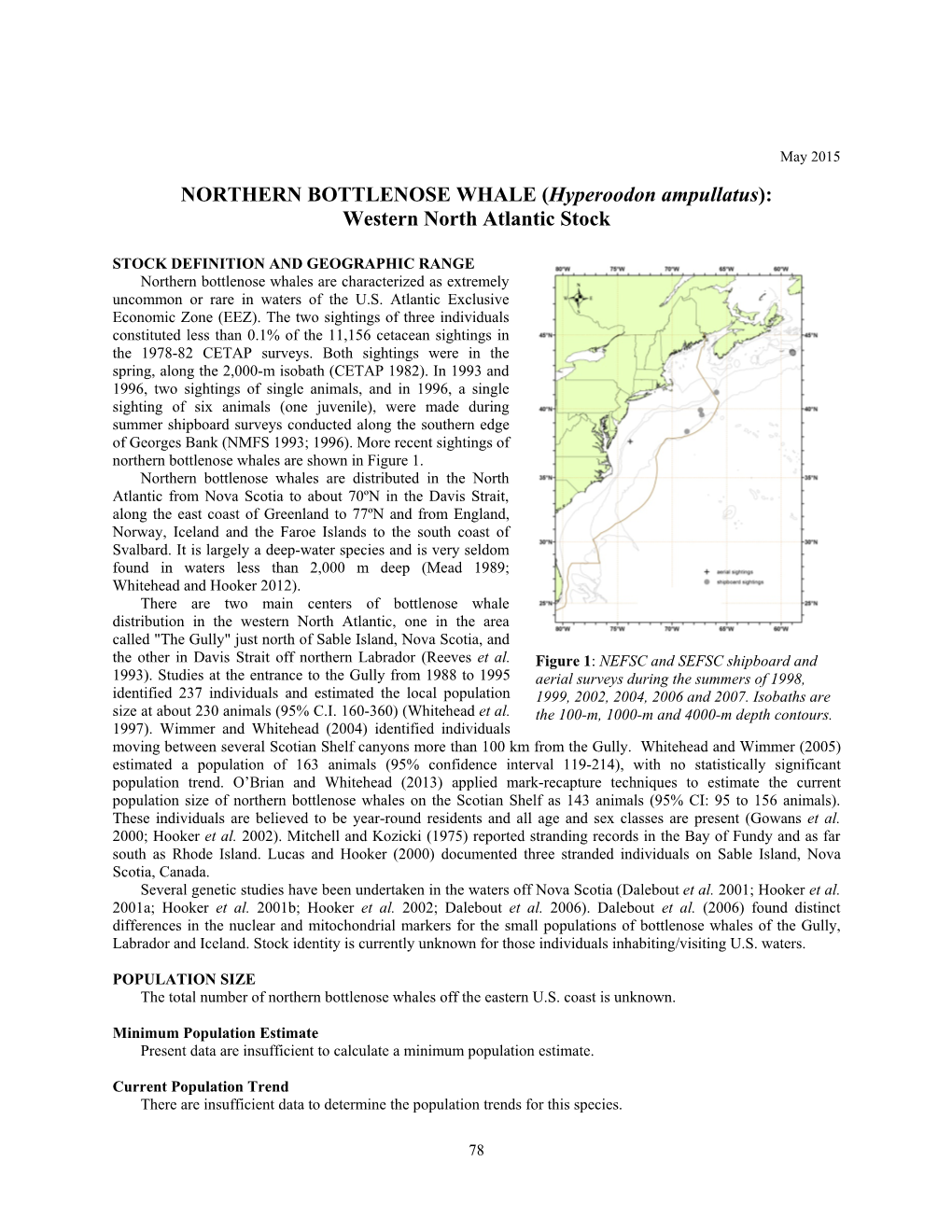 NORTHERN BOTTLENOSE WHALE (Hyperoodon Ampullatus):Western