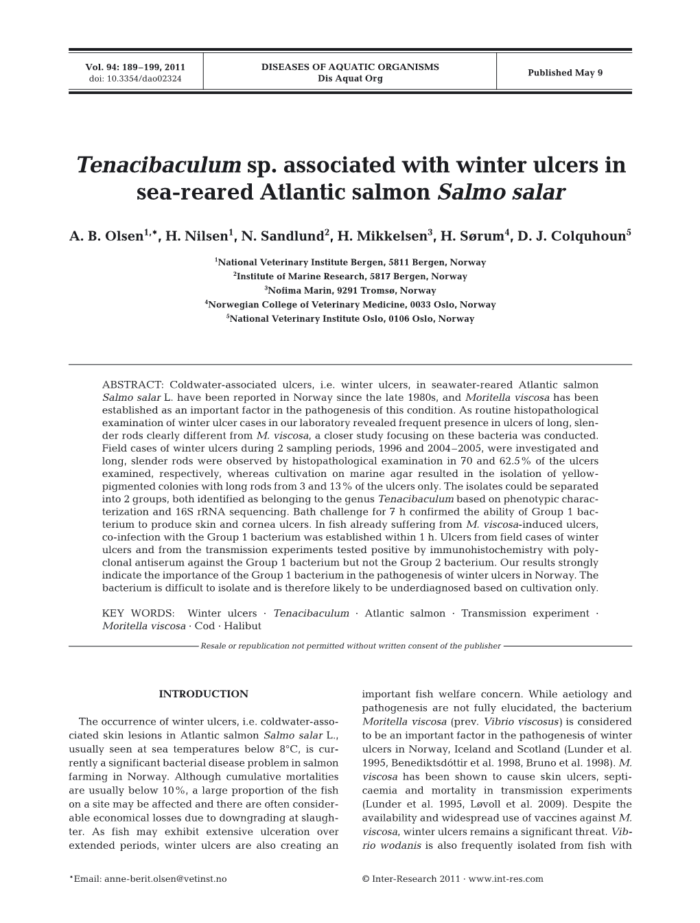 Tenacibaculum Sp. Associated with Winter Ulcers in Sea-Reared Atlantic Salmon Salmo Salar