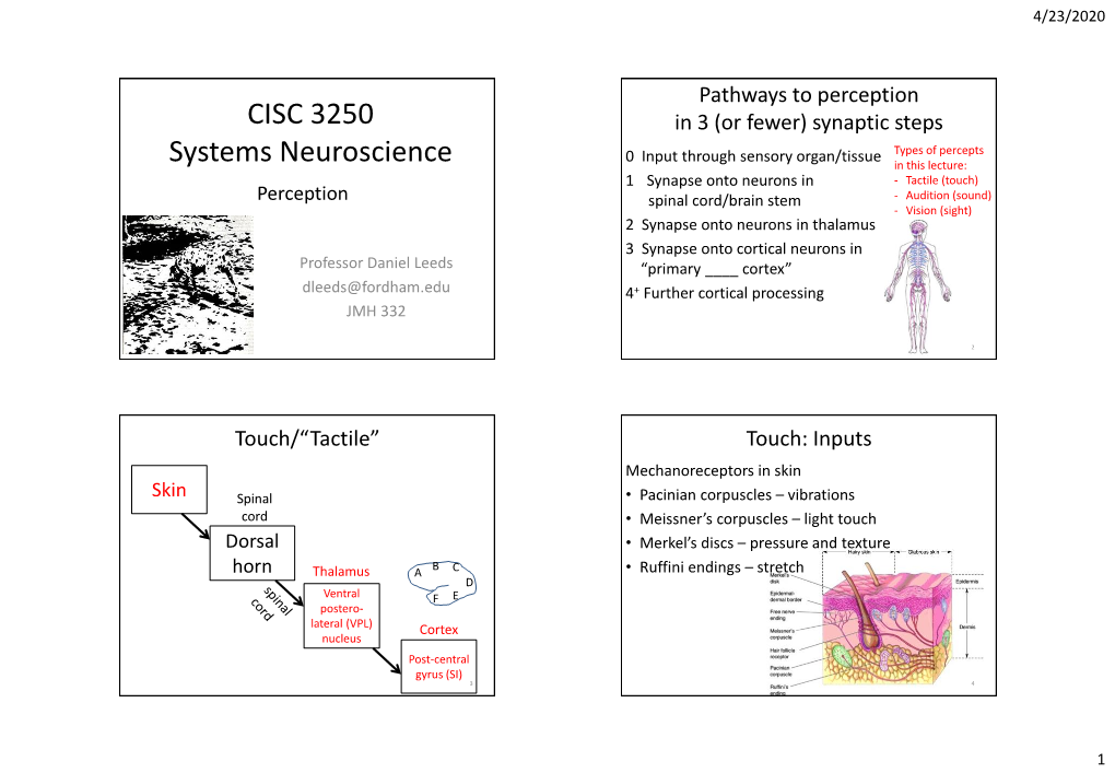 CISC 3250 Systems Neuroscience