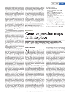 Gene-Expression Maps Fall Into Place