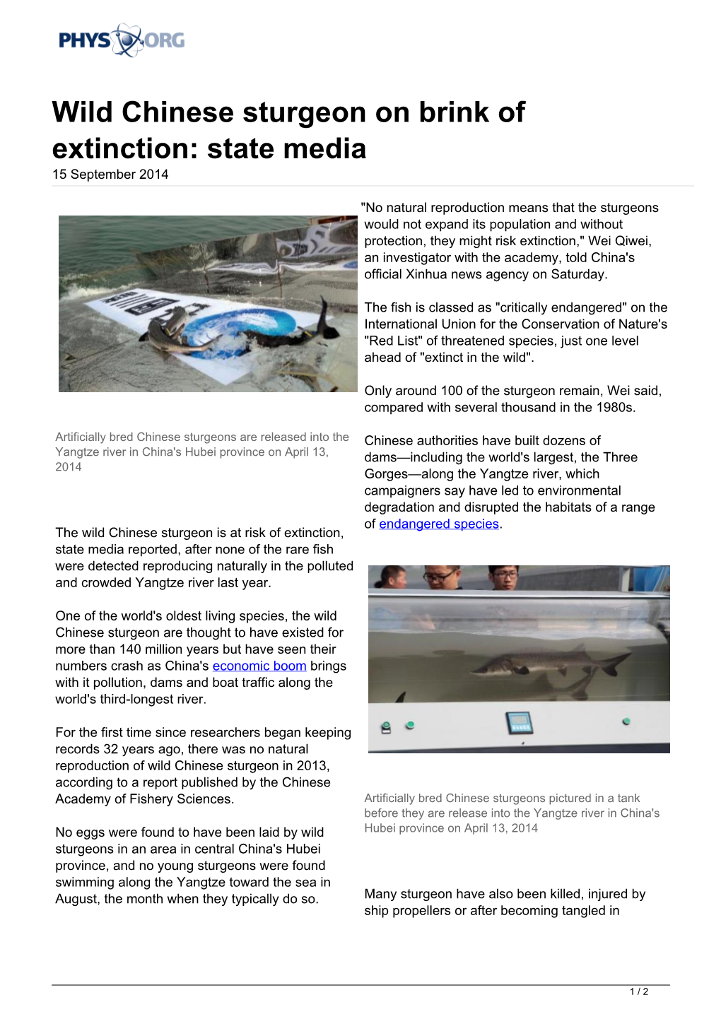 Wild Chinese Sturgeon on Brink of Extinction: State Media 15 September 2014