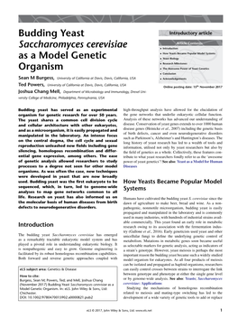 "Budding Yeast Saccharomyces Cerevisiae As a Model Genetic