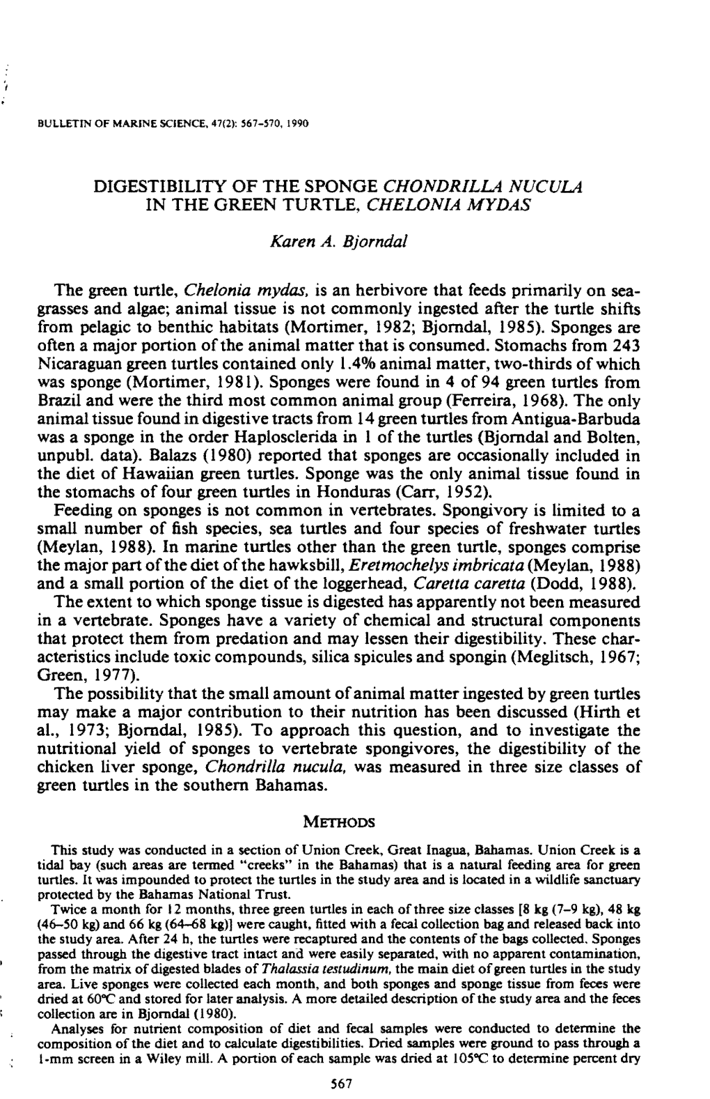 Digestibility of the Sponge Chondrilu Nucuu in the Green Turtle, Chelonia Mydas