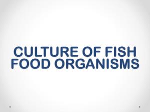 FISH FOOD ORGANISMS Fish Food Organisms