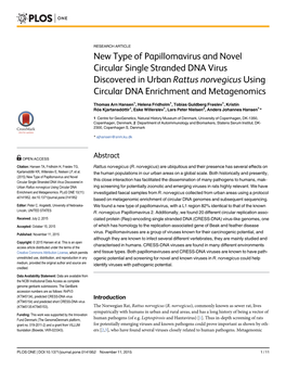 New Type of Papillomavirus and Novel Circular Single Stranded DNA Virus Discovered in Urban Rattus Norvegicus Using Circular DNA Enrichment and Metagenomics