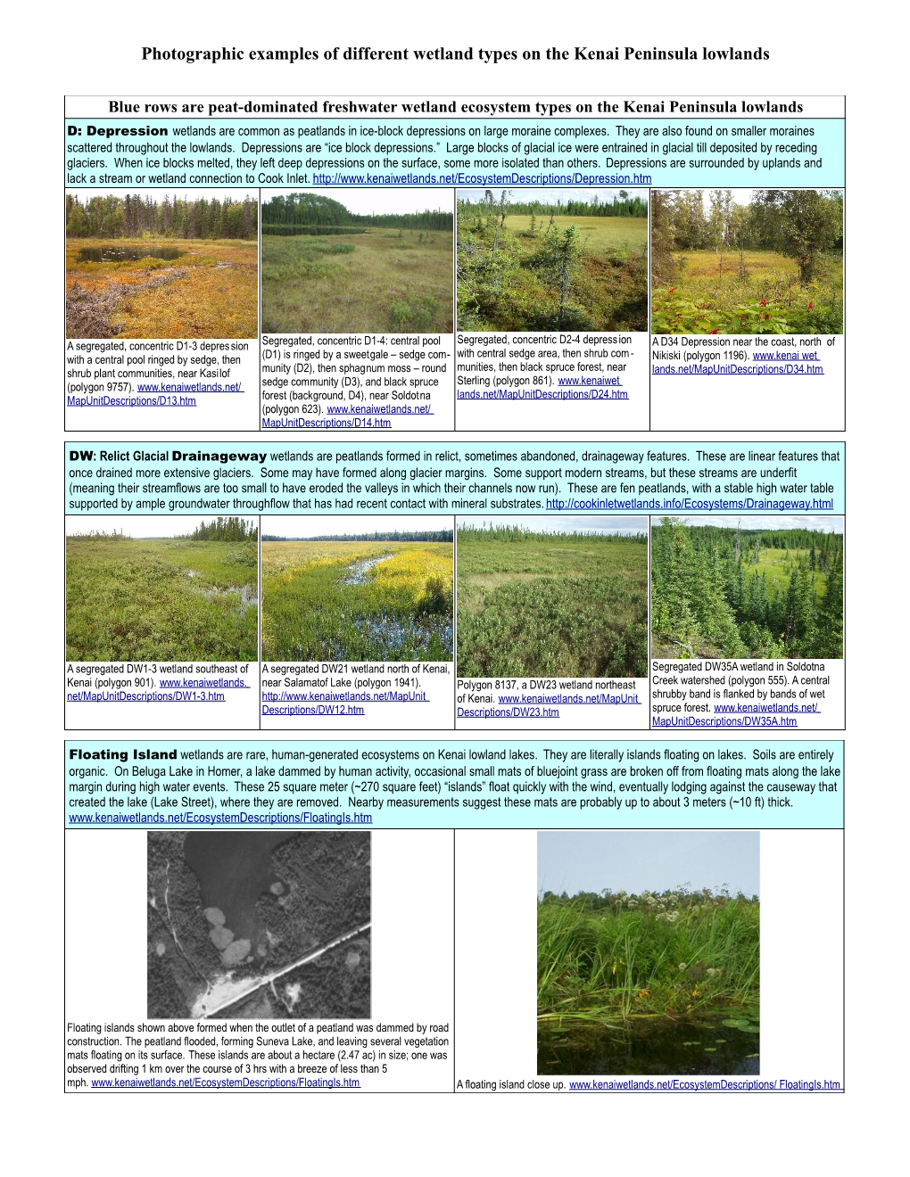 Photographic Examples of Different Wetland Types on the Kenai Peninsula Lowlands