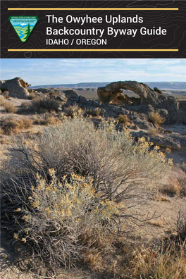 The Owyhee Uplands Backcountry Byway Guide