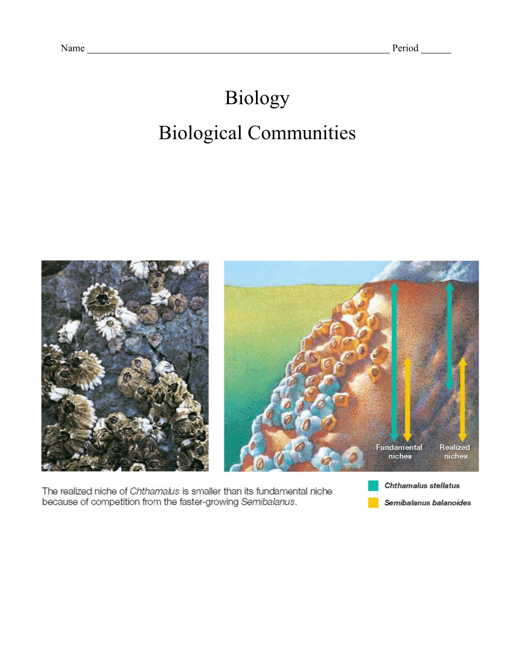 Biology Biological Communities