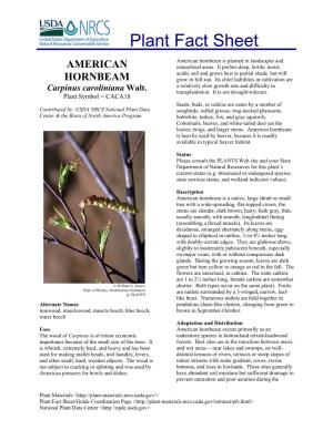 American Hornbeam Is Planted in Landscapes and AMERICAN Naturalized Areas