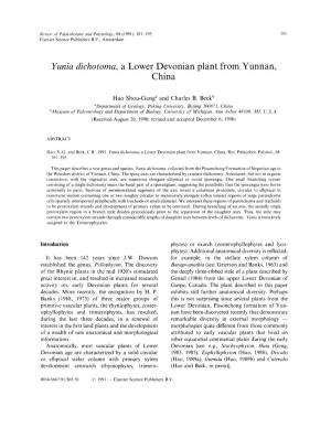 Yunia Dichotoma, a Lower Devonian Plant from Yunnan, China