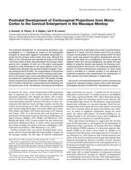 Postnatal Development of Corticospinal Projections from Motor Cortex to the Cervical Enlargement in the Macaque Monkey