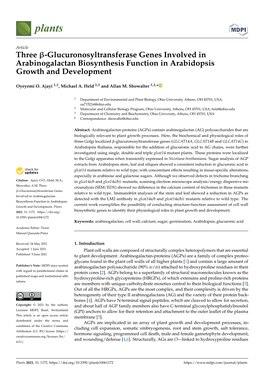 Glucuronosyltransferase Genes Involved in Arabinogalactan Biosynthesis Function in Arabidopsis Growth and Development