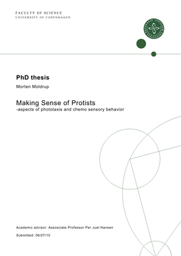 Making Sense of Protists -Aspects of Phototaxis and Chemo Sensory Behavior