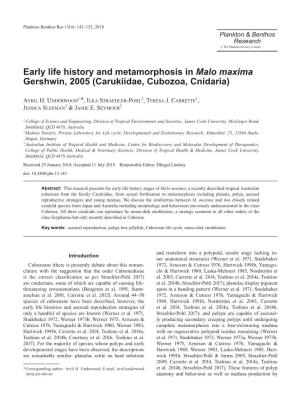 Early Life History and Metamorphosis in Malo Maxima Gershwin, 2005 (Carukiidae, Cubozoa, Cnidaria)