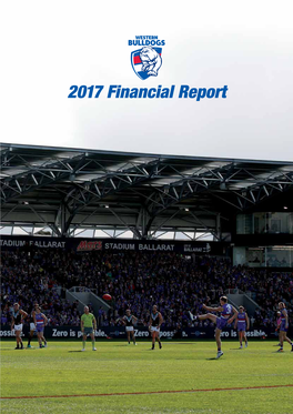 2017 Financial Report