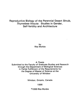 Reproductive Biology of the Perennial Desert Shrub, Thymelaea Hirsuta: Studies in Gender, Self-Fertility and Architecture