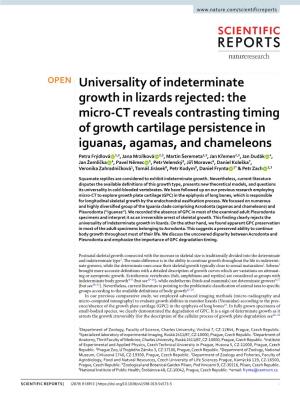 Universality of Indeterminate Growth in Lizards Rejected