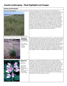 Coastal Landscaping - Plant Highlights and Images  Grasses and Perennials
