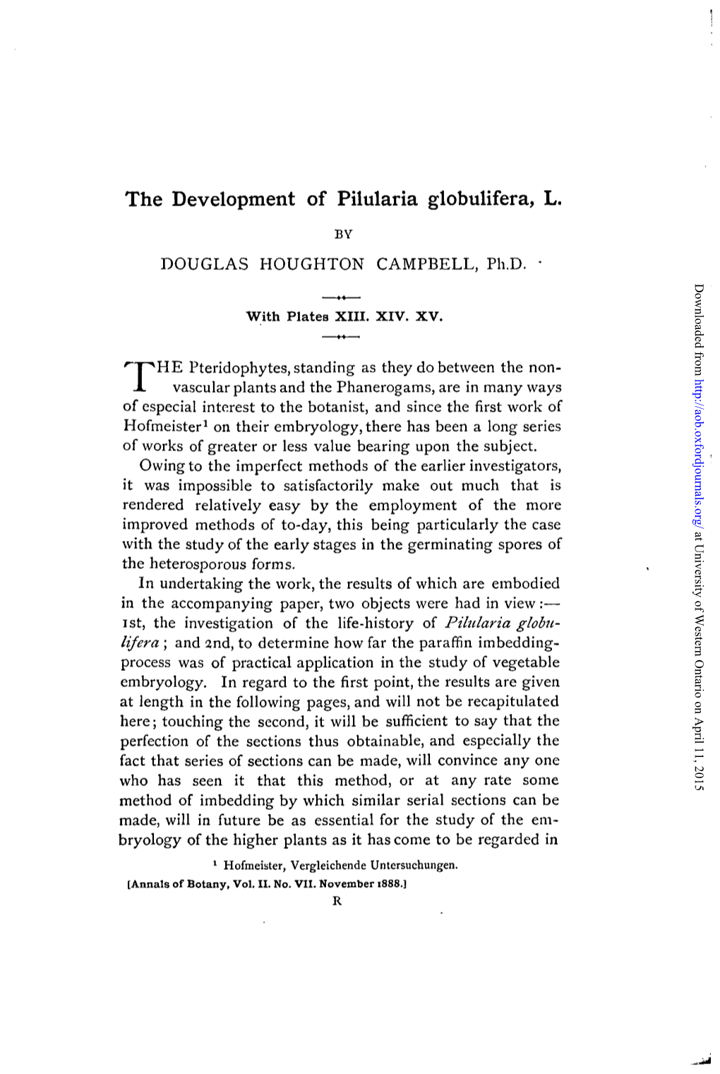 The Development of Pilularia Globulifera, L