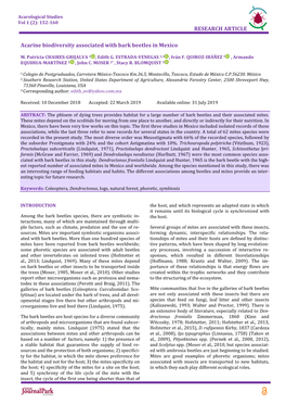 Acarine Biodiversity Associated with Bark Beetles in Mexico