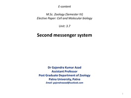 Second Messenger System