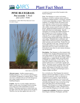 Plant Fact Sheet for Pine Bluegrass (Poa Secunda)