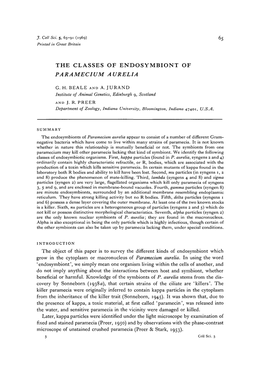 The Classes of Endosymbiont of Paramecium Aurelia