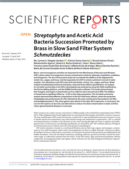 Streptophyta and Acetic Acid Bacteria Succession Promoted by Brass In